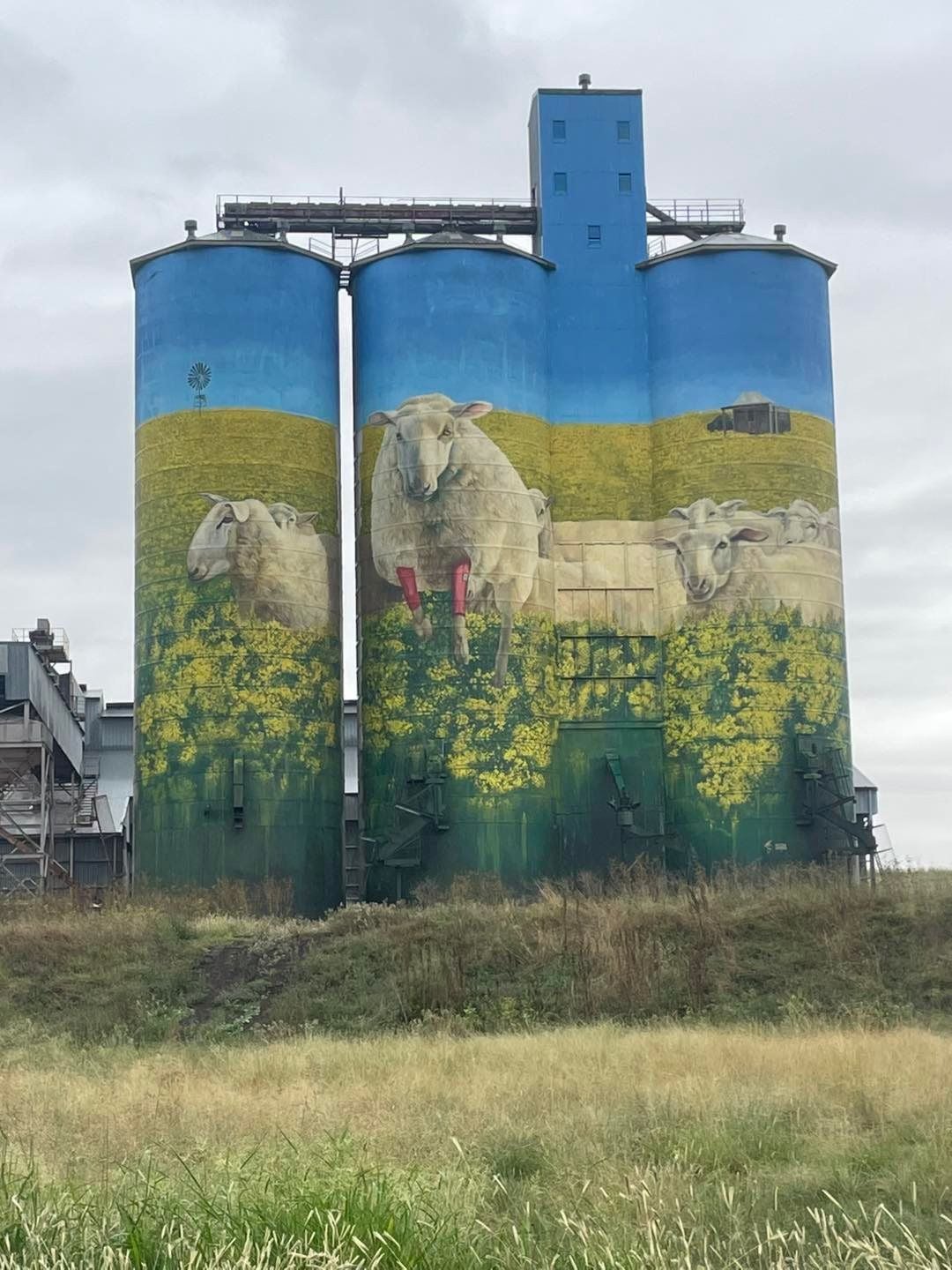 Dubbo Zoo 2025 Image -67de049e21d38